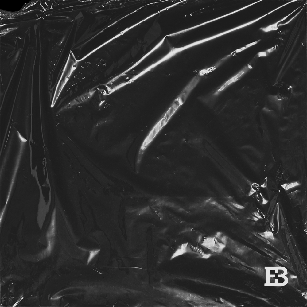 Mani Rivera Le Vinyl Download music at Electrobuzz